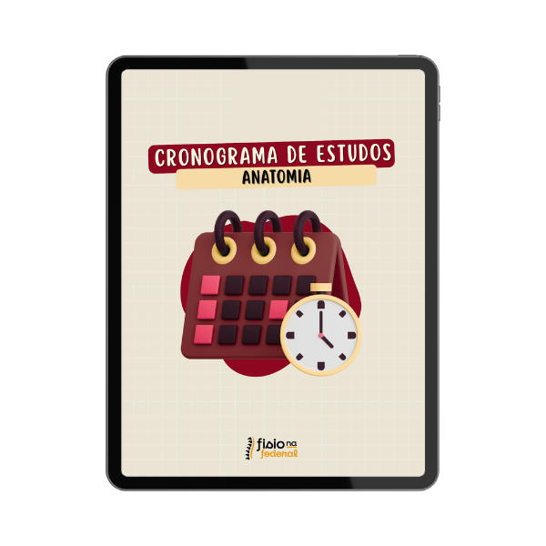 Mockup Cronograma de Estudos