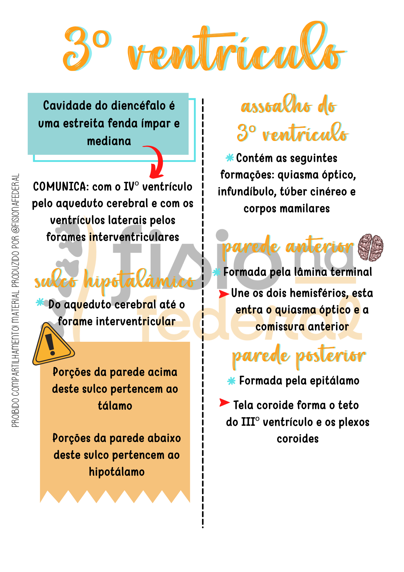 Página de 3º ventrículo