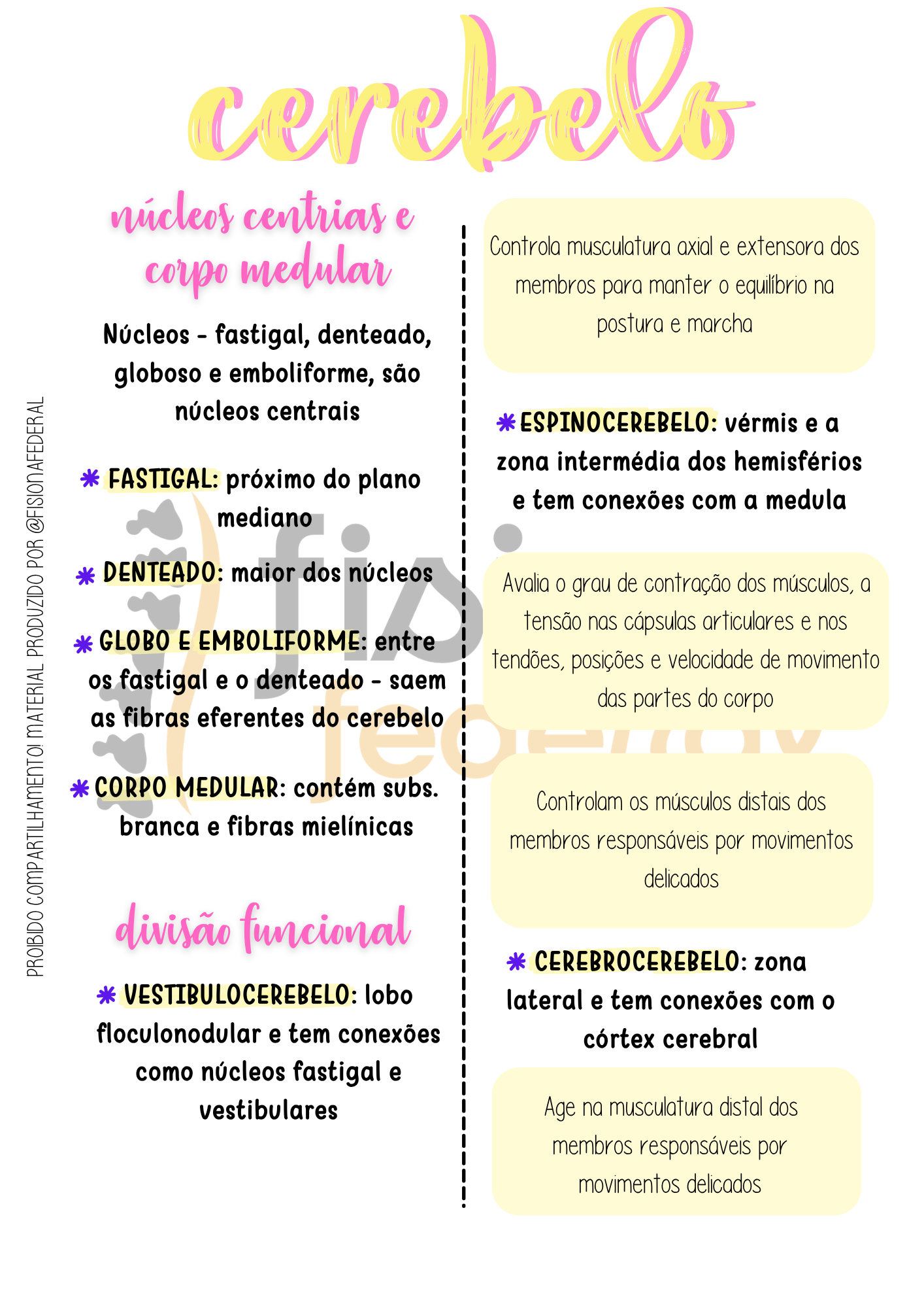 Resumo de Cerebelo