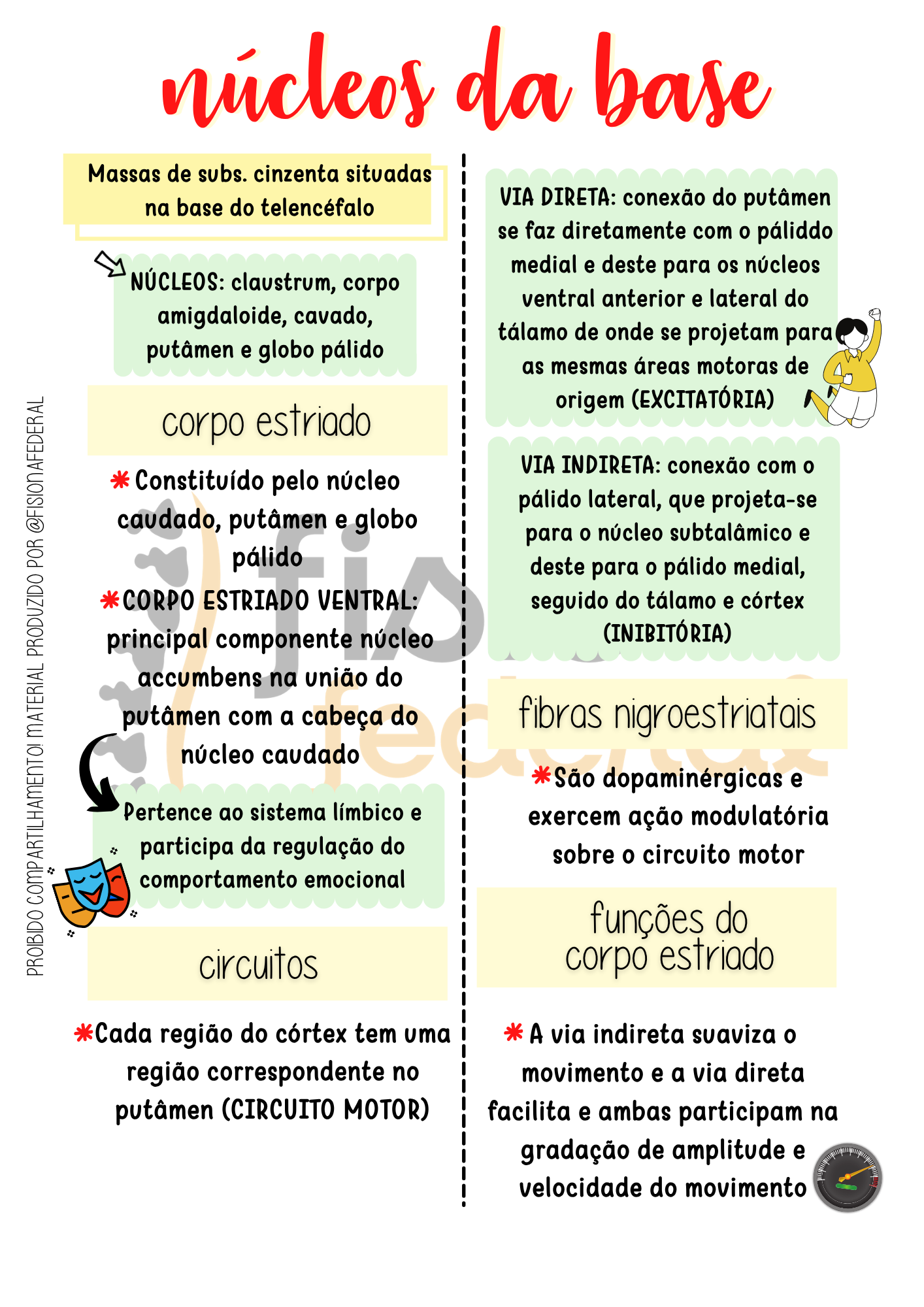Página de Núcleos da base