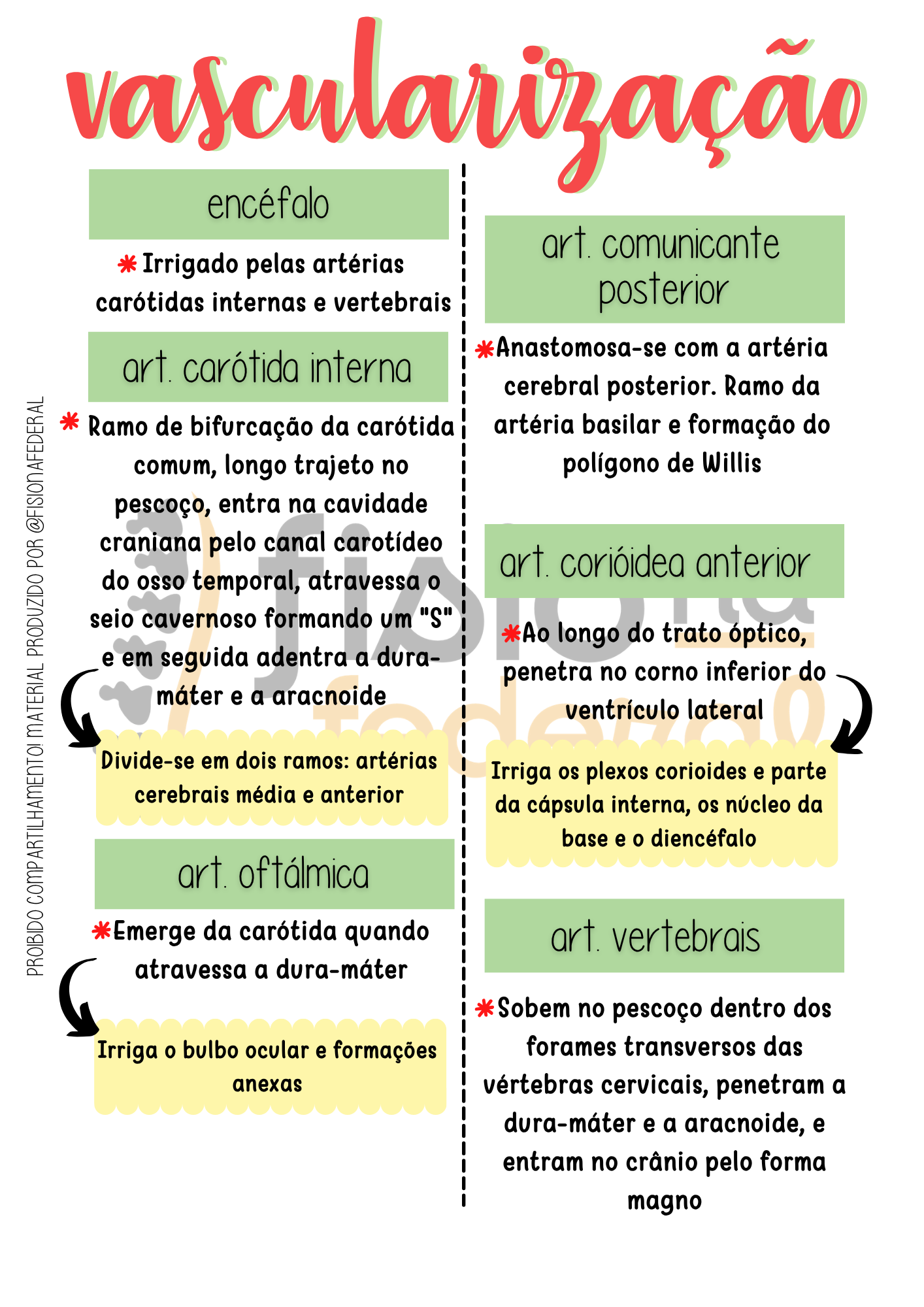 Página de Vascularização