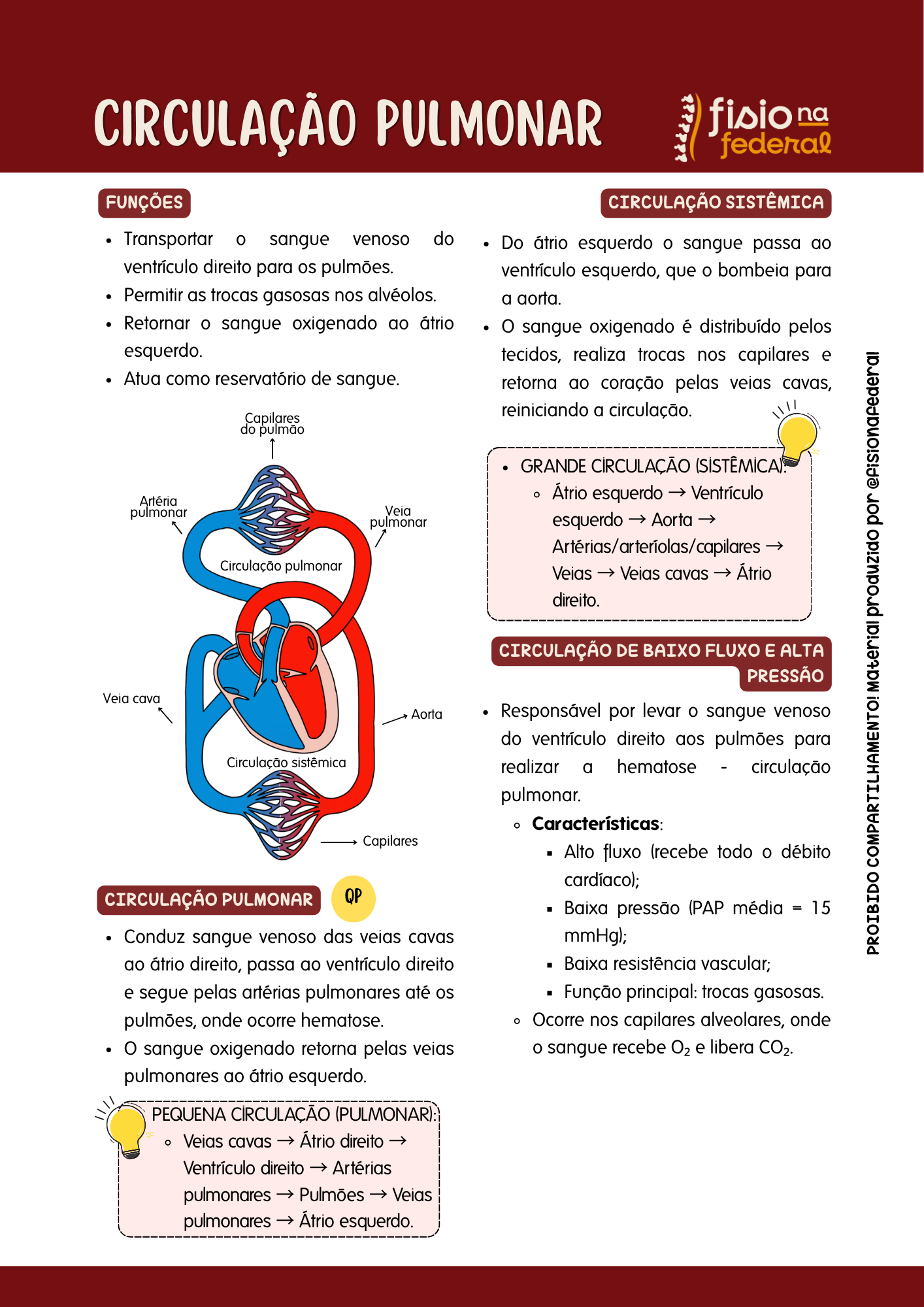 Circulação Pulmonar — Respiratória Sem Complicação
