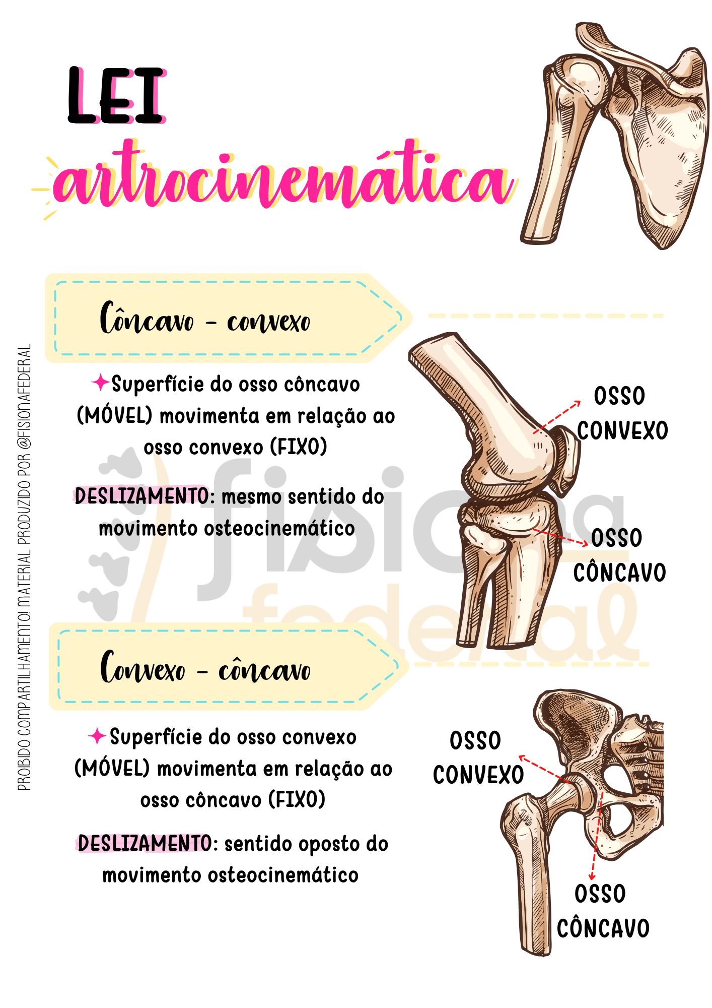 Lei Artrocinemática — Cinesiologia Facilitada