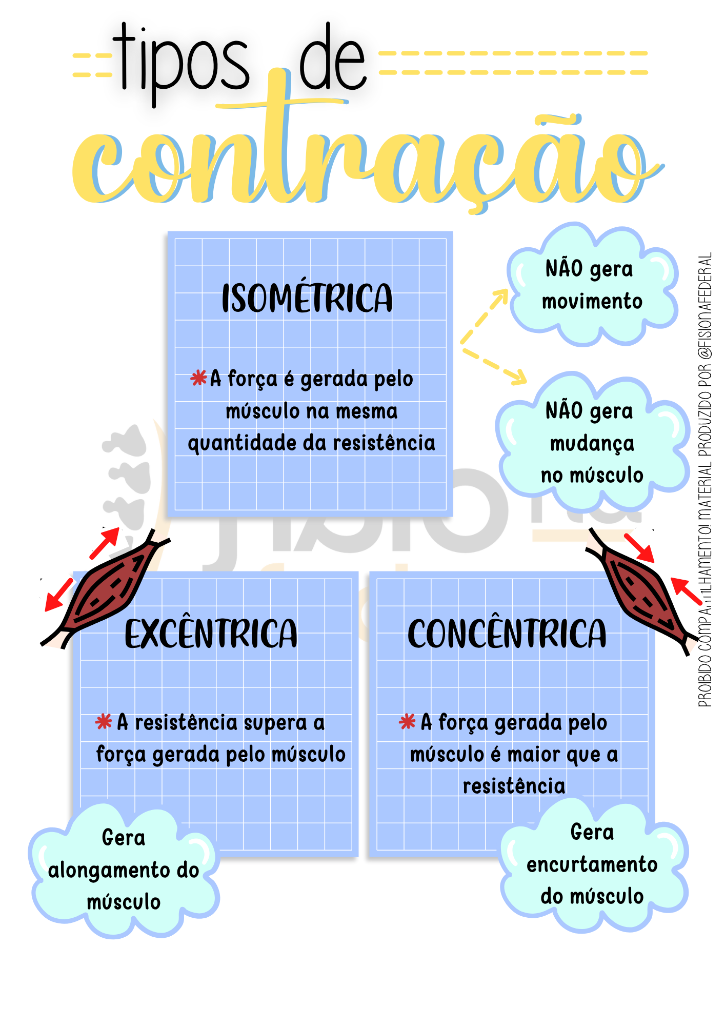 Tipos de Contração — Cinesiologia Facilitada