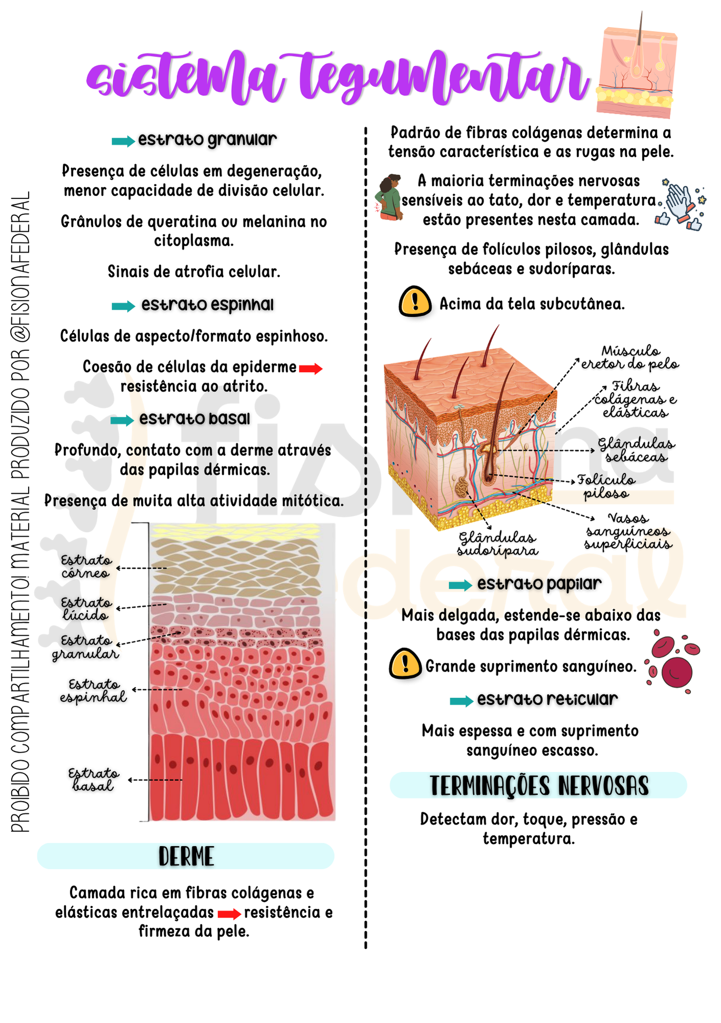 Amostra do material — página 1