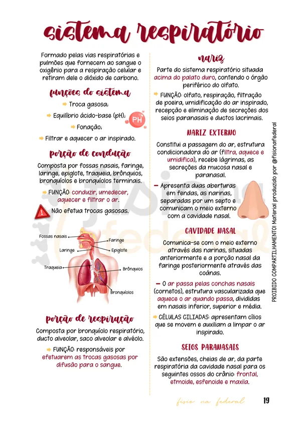 Amostra do material - Página 19