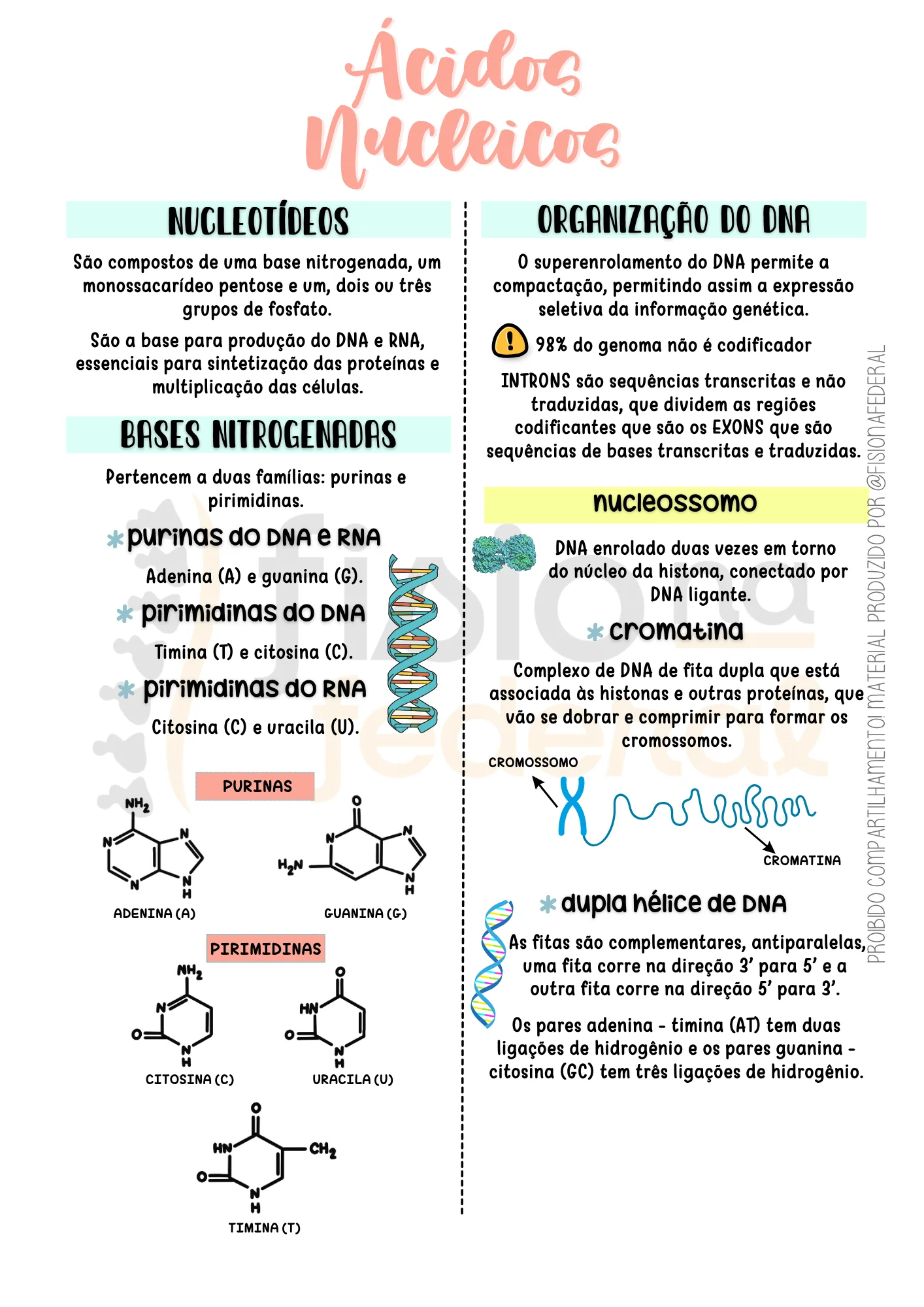 Página de Ácidos Nucleicos