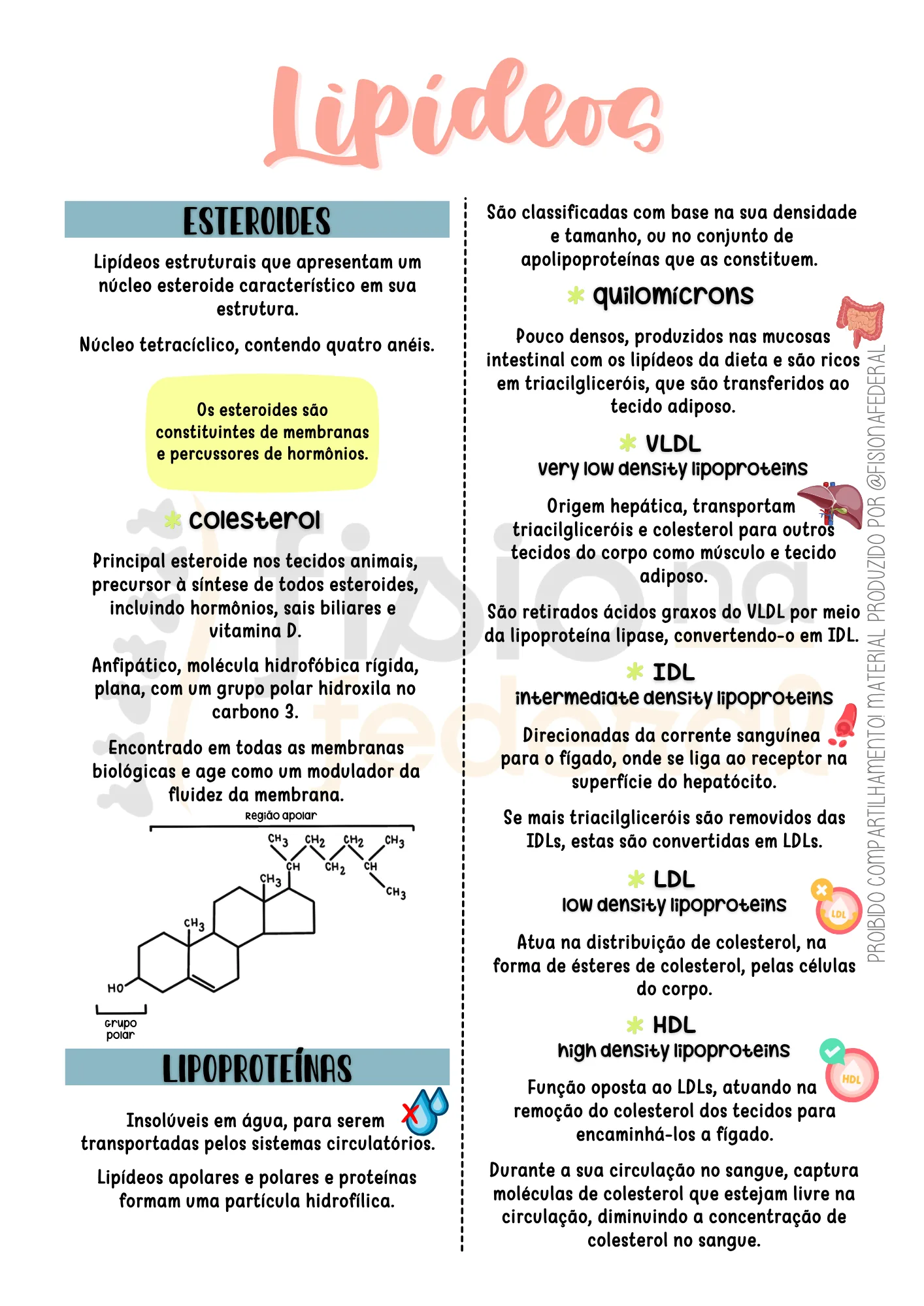 Material de lipídios