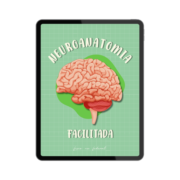Neuroanatomia Facilitada