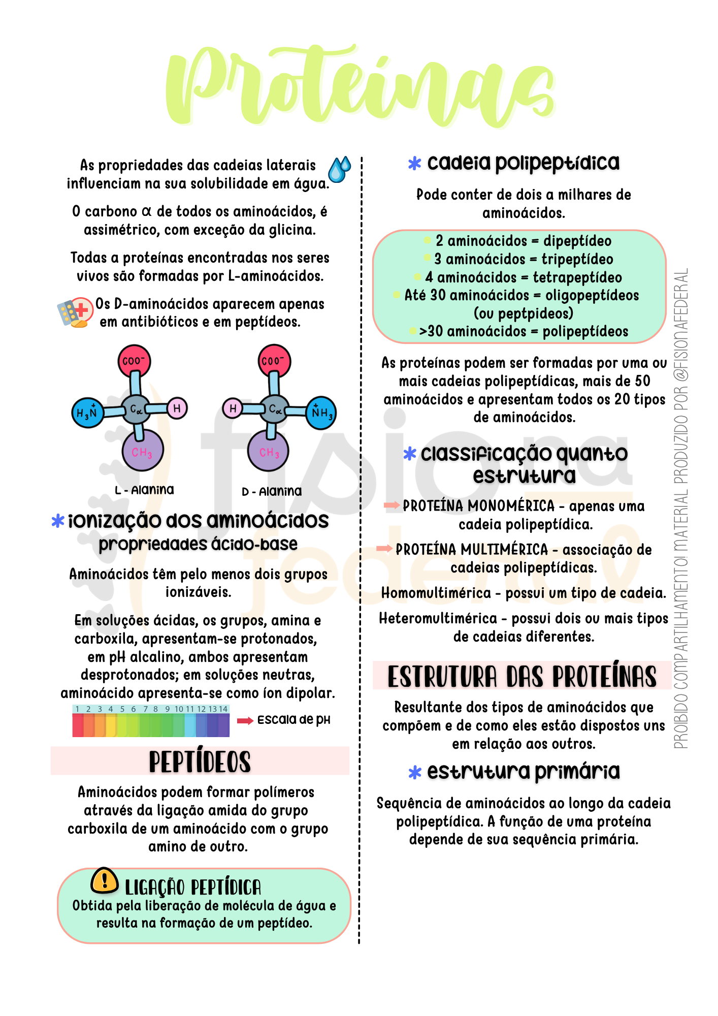 PROTEÍNAS