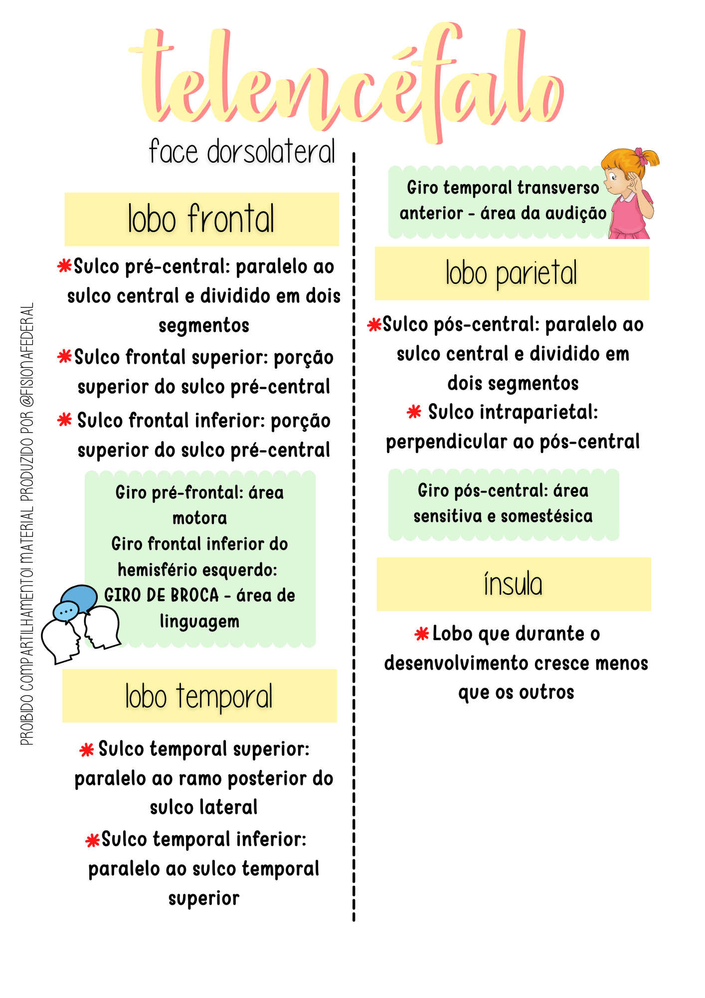TELENCÉFALO