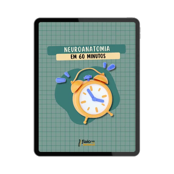 Neuroanatomia em 60 Minutos