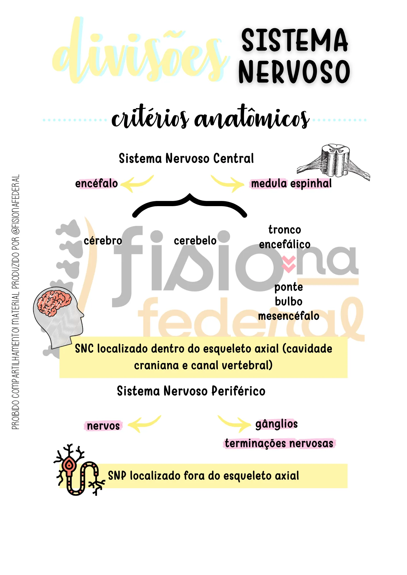 Página de Divisões do SN