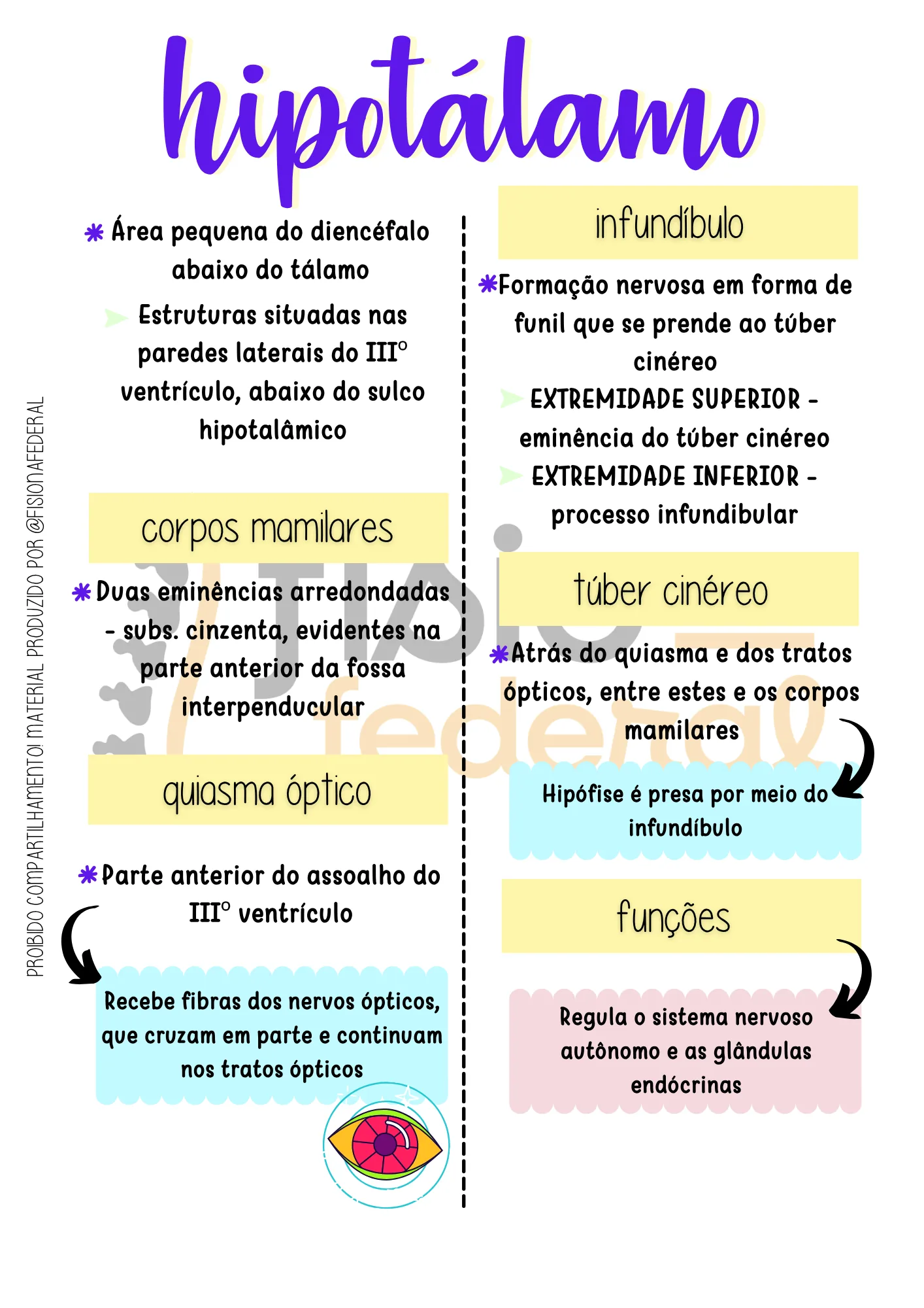 Página de Hipotálamo