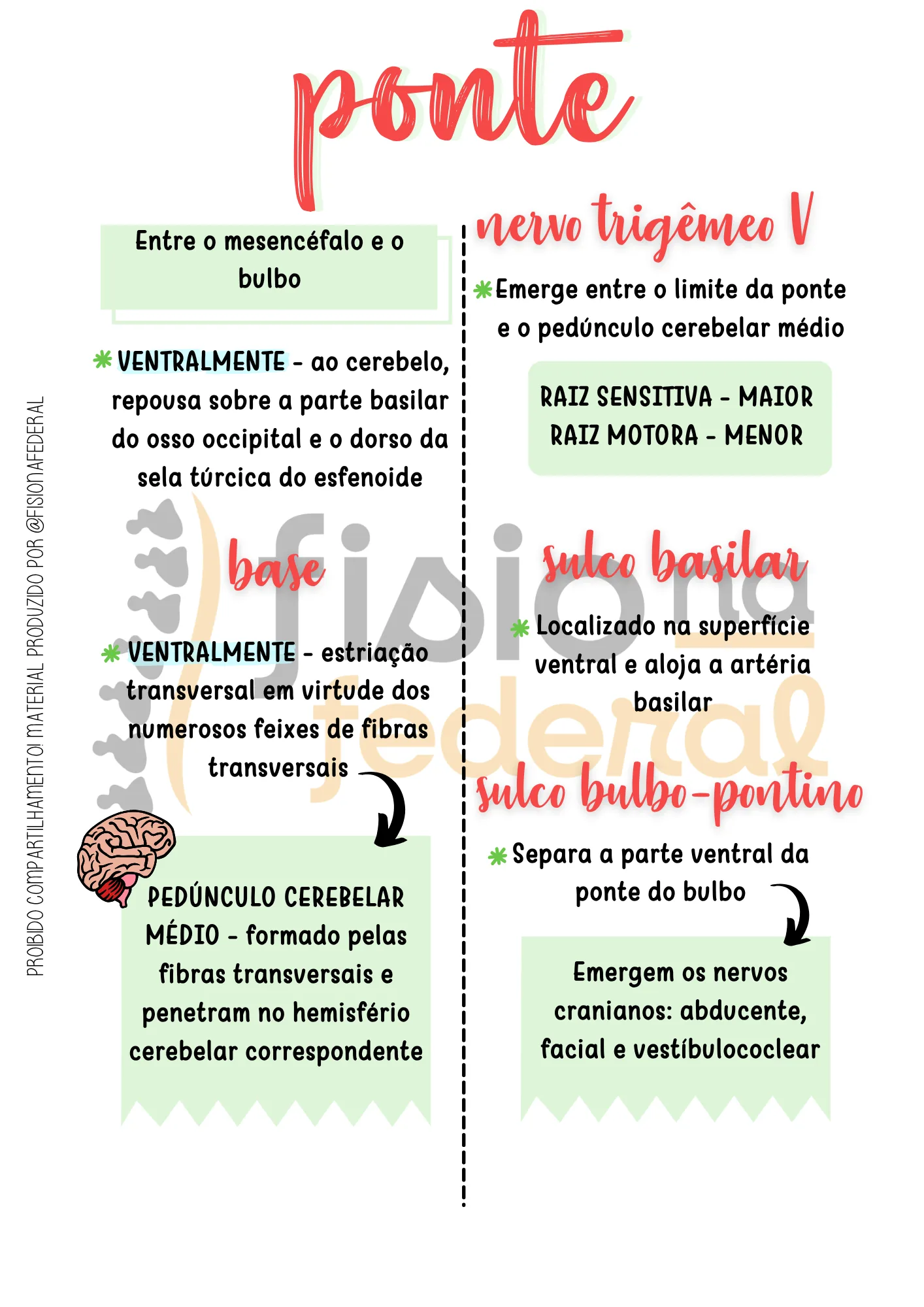 Resumo de Ponte