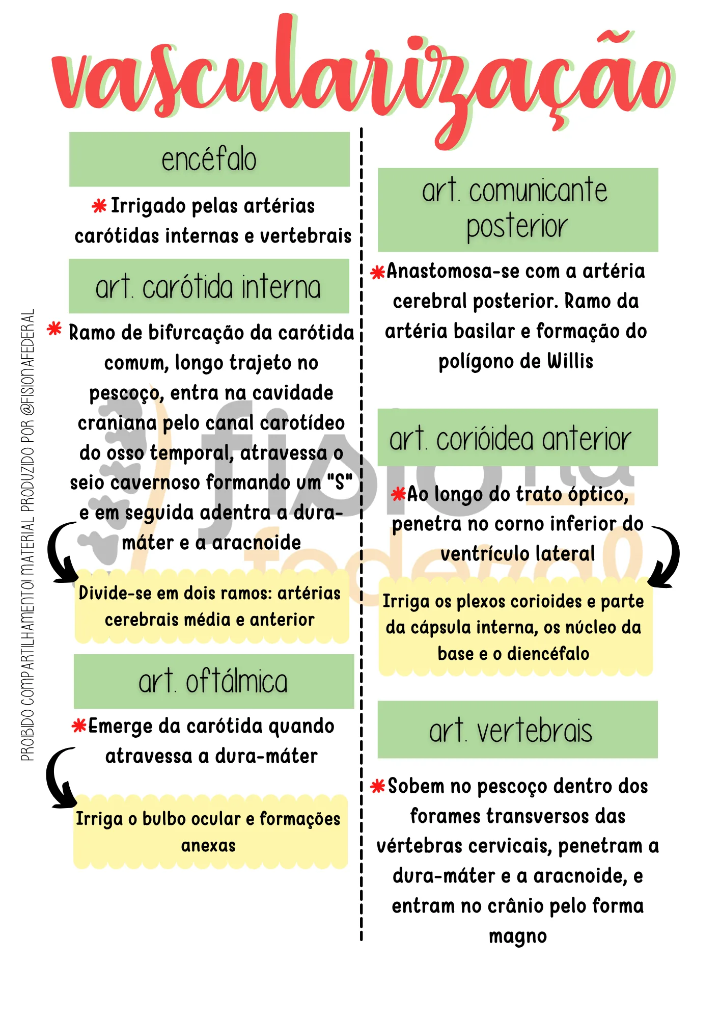 Página de Vascularização
