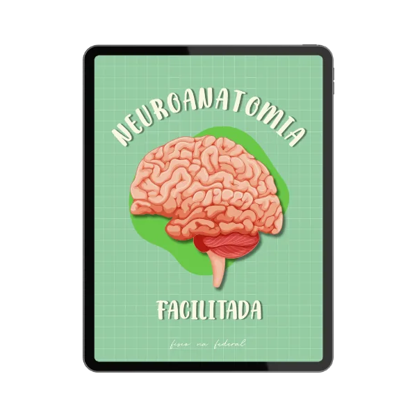 Neuroanatomia