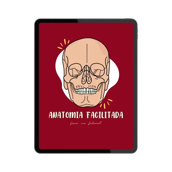 Anatomia